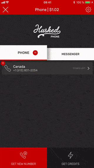 microphonesetting-low.gif